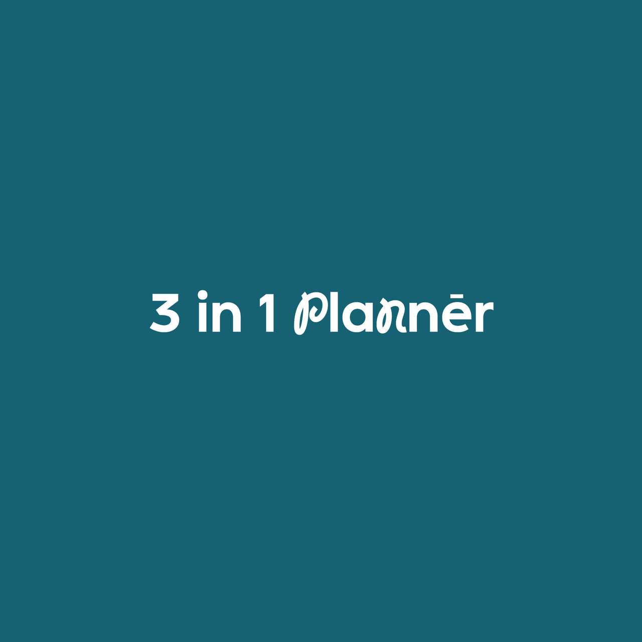 3 in 1 Planner