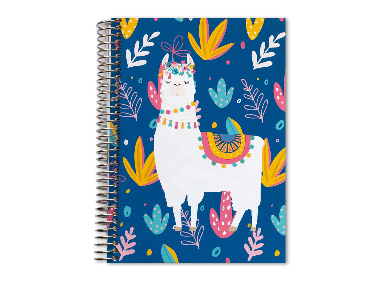 Address Book